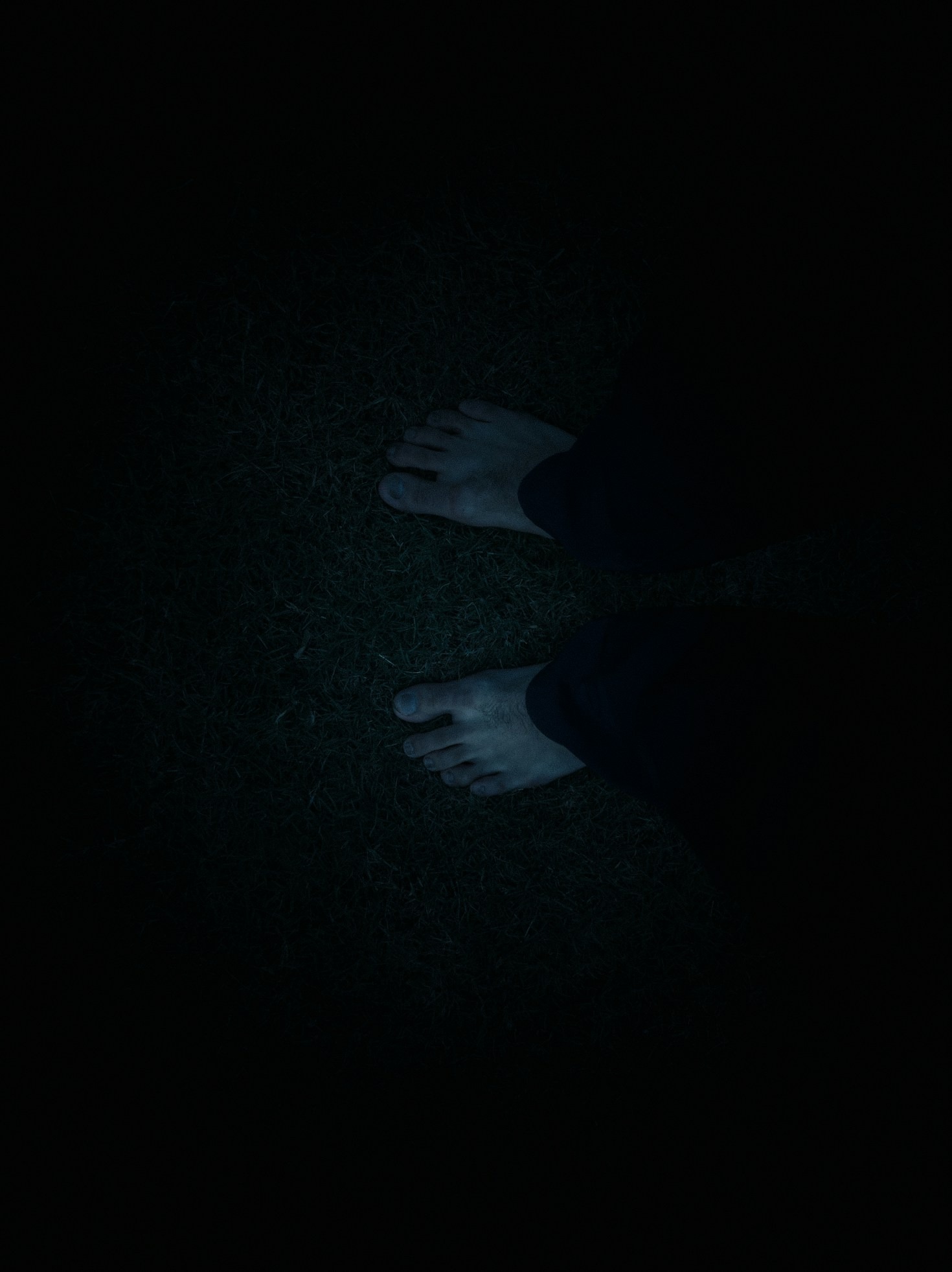 The Connection Between Beauty and Photography